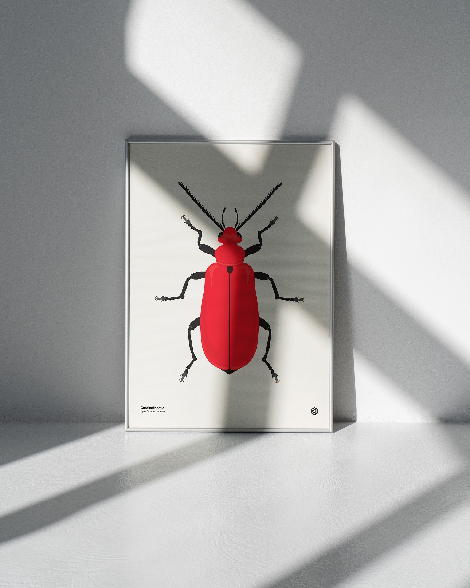 Entomology Art Prints