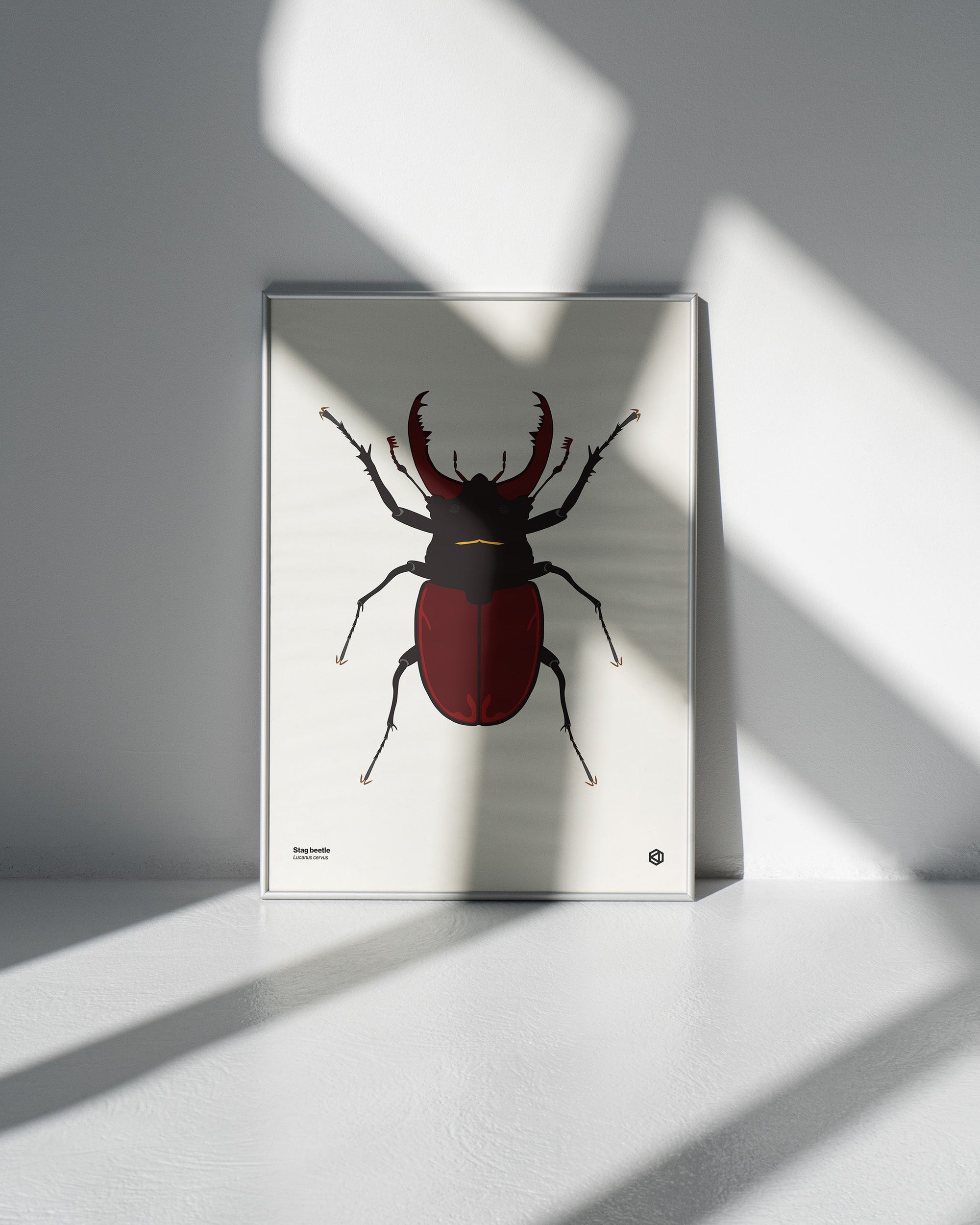 Best Natural History Prints