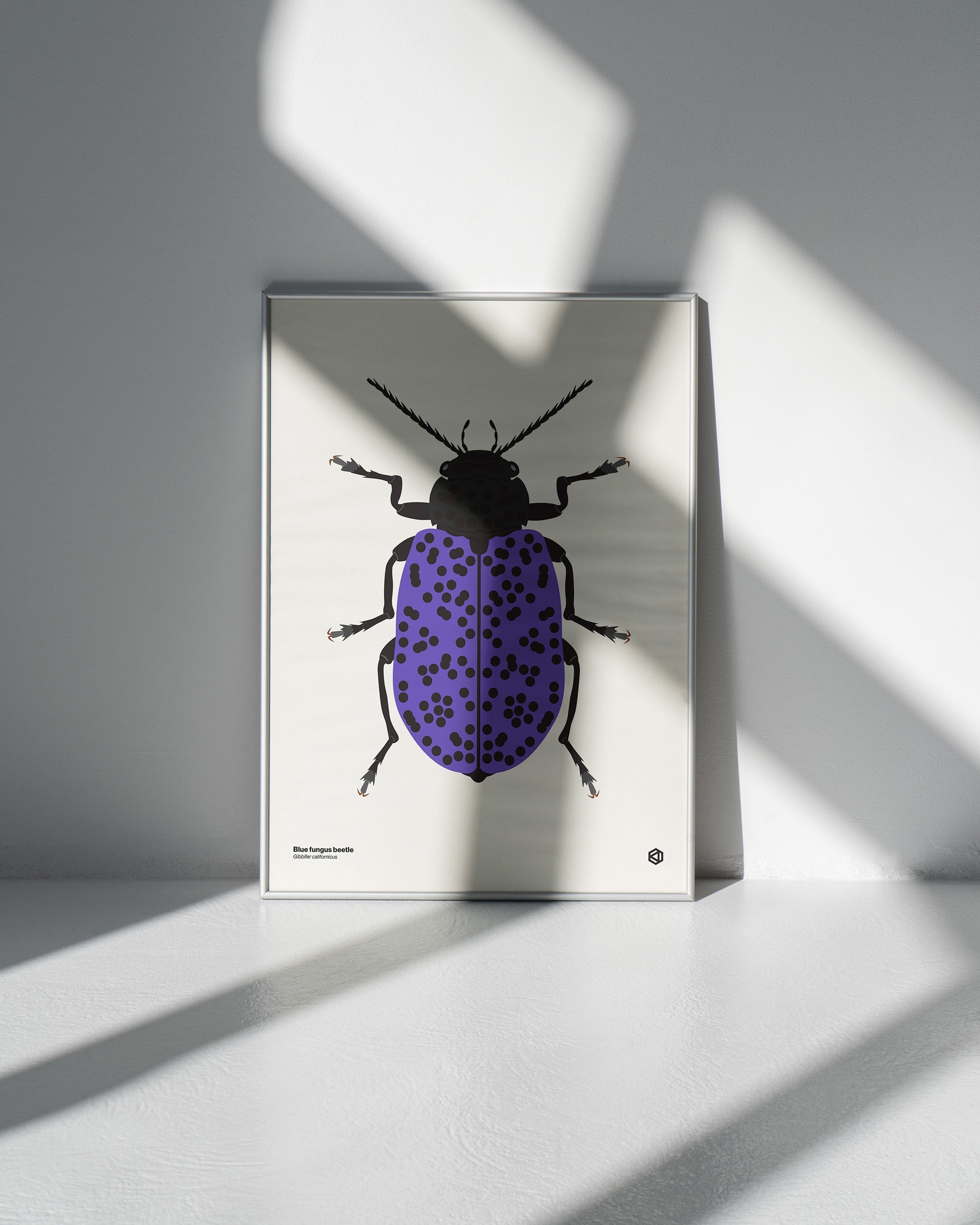 Beetle Art Prints