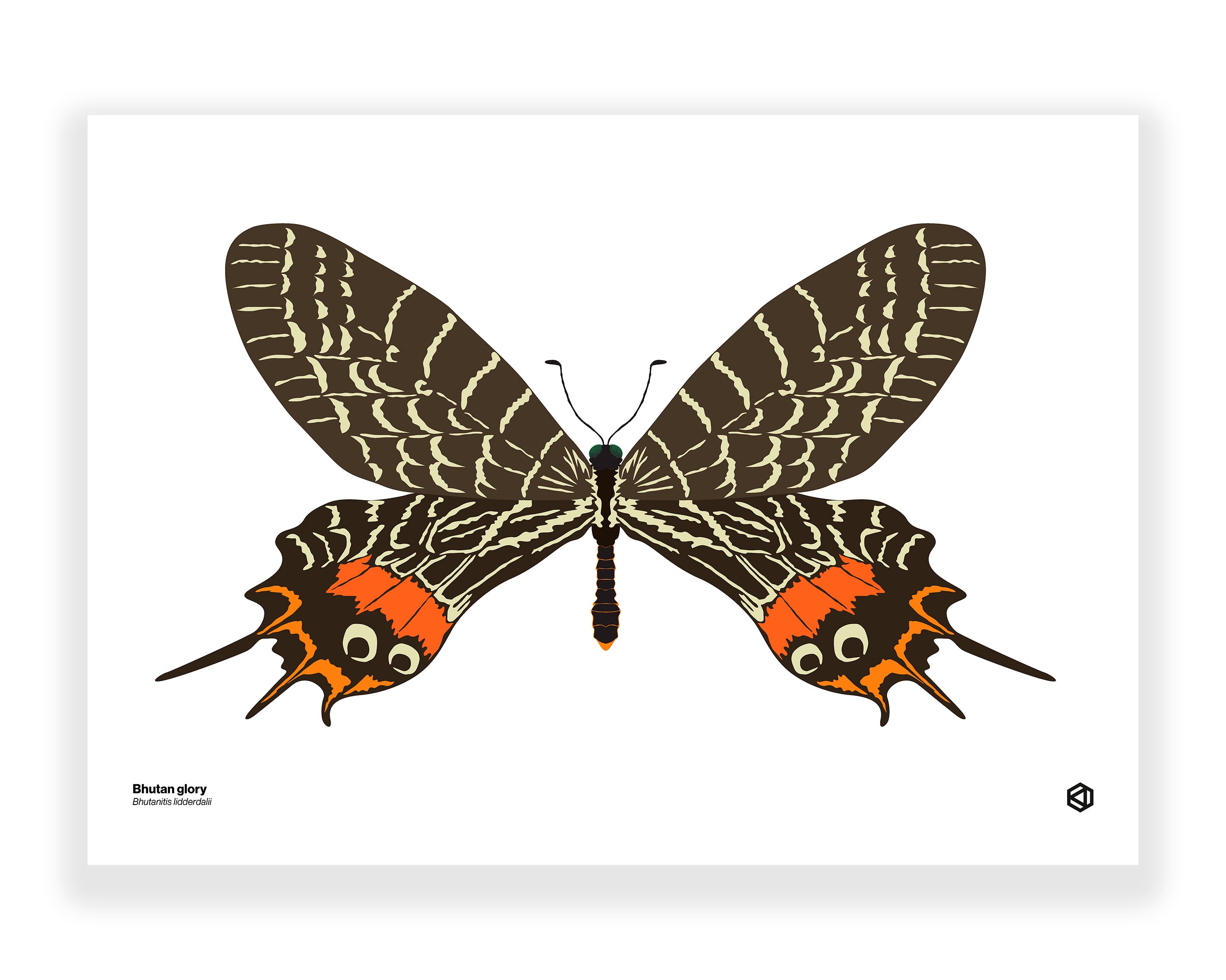 ブータンの蝶類 : Butterflies of Bhutan ブータンの蝶類 矢崎康幸