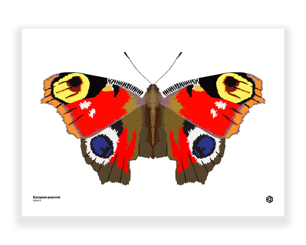 Butterfly - European Peacock (Aglais io)