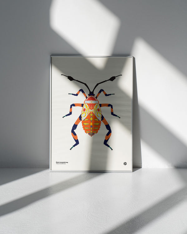 Giant Mesquite Bug (Thasus neocalifornicus) - natural history illustration - Bugs series art print