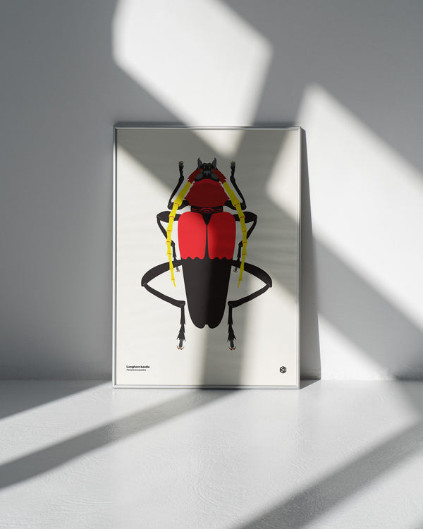 Longhorn Beetle (Pachyteria equestris) - natural history illustration - Bugs series art print
