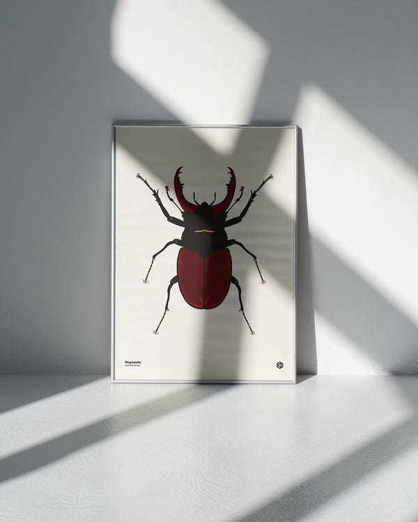 Stag Beetle (Lucanus cervus) - natural history illustration - Bugs series art print