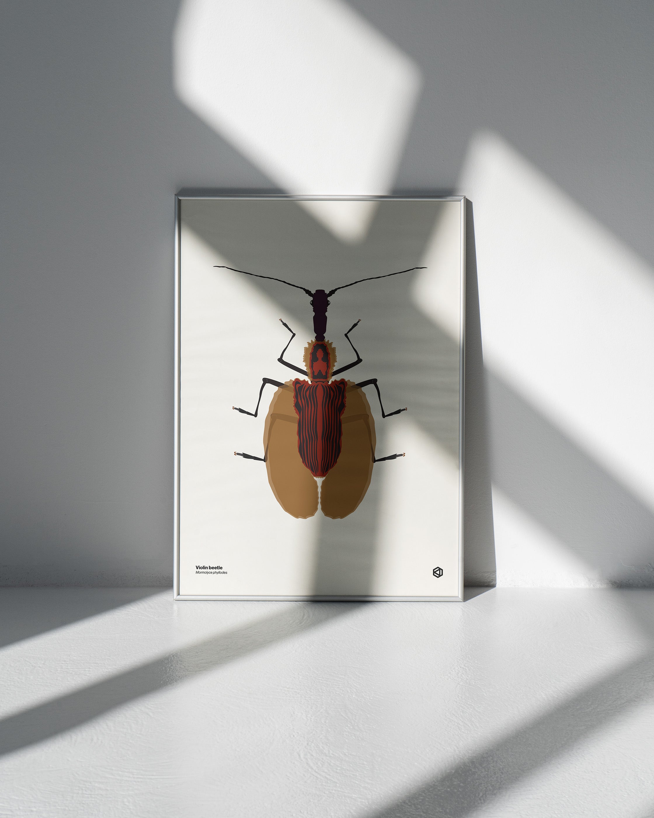 Violin Beetle (Mormolyce phyllodes) - natural history illustration - Bugs series art print