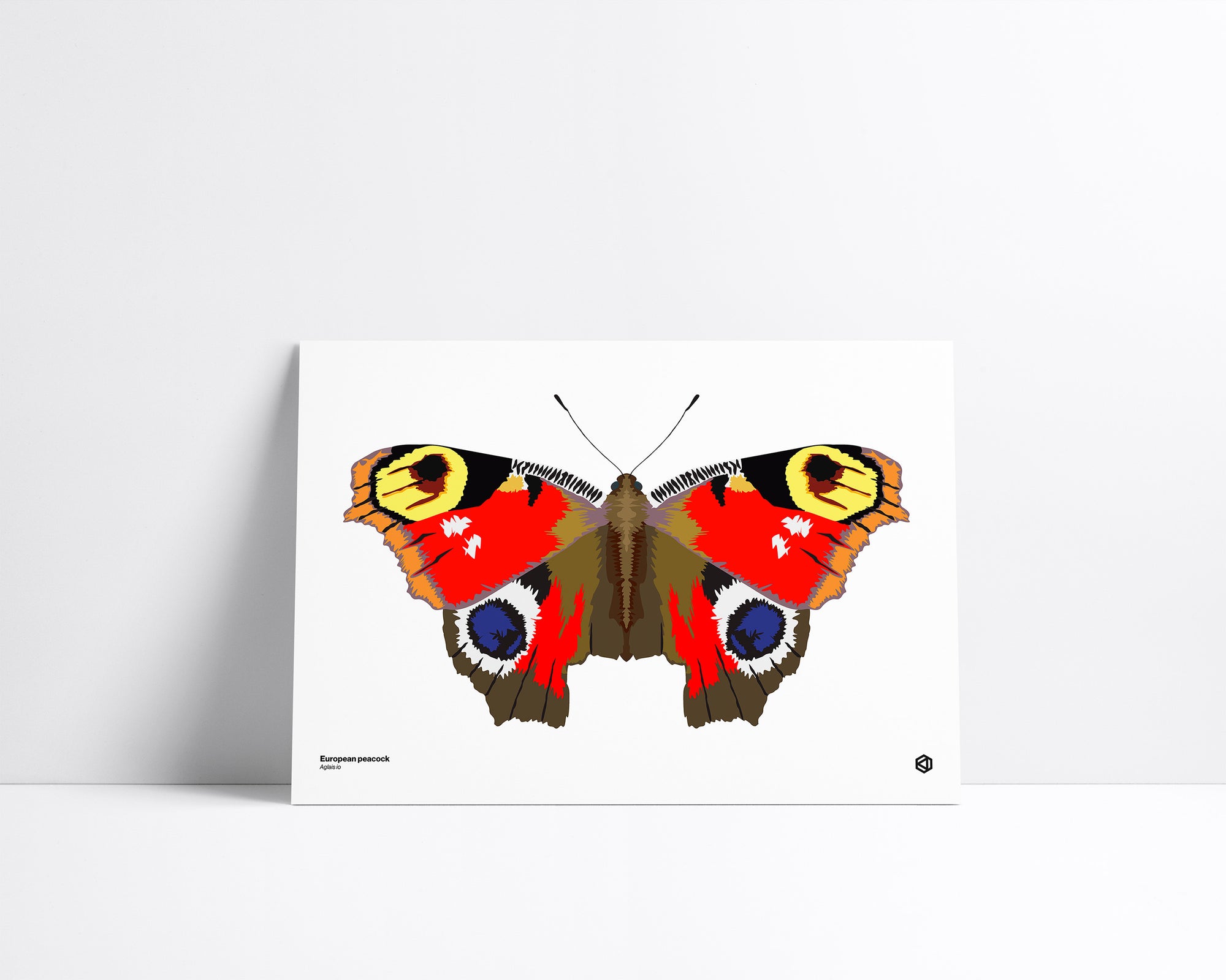 Butterfly – European Peacock (Aglais io) print – bright red butterfly with blue and black eyespots on its wings, native to Europe and Asia.