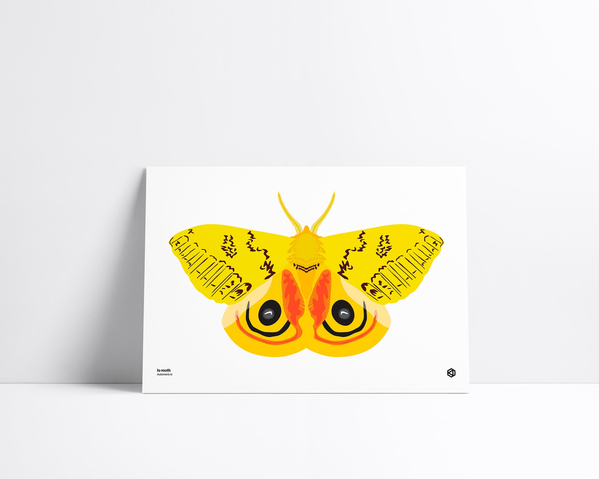 Moth – Io Moth (Automeris io) print – bright yellow moth with large blue and black eyespots native to North America.