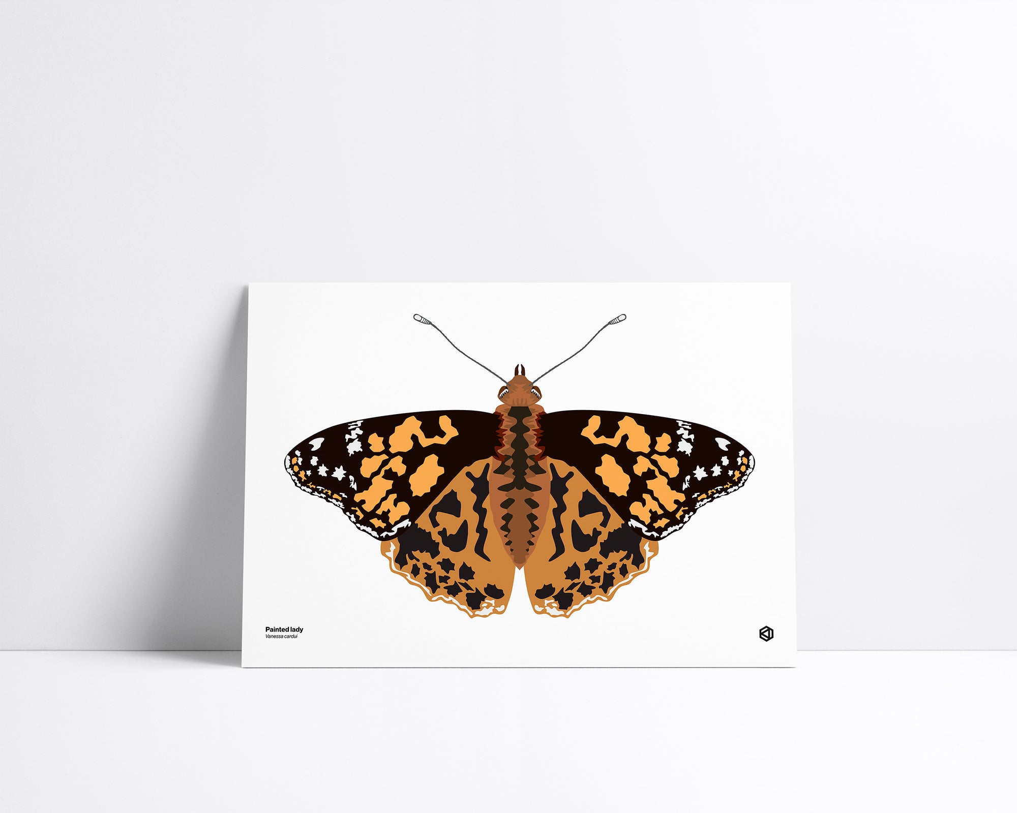 Butterfly – Painted Lady (Vanessa cardui) print – orange, black, and white butterfly known for its global migration, native to Europe, Asia, and North America.