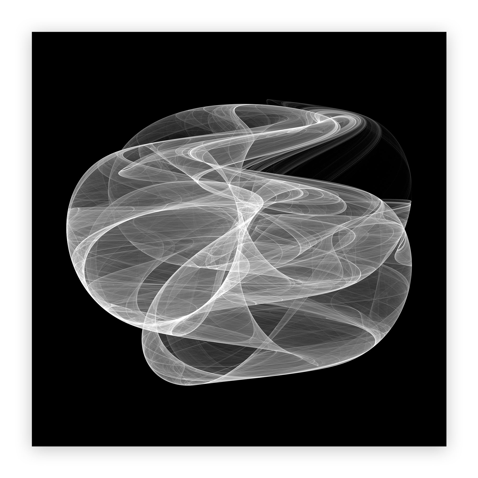 Phase Portrait 004.1