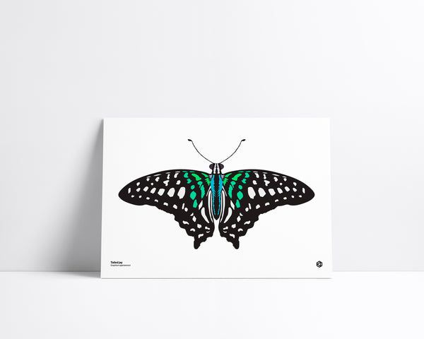 Butterfly – Tailed Jay (Graphium agamemnon) - natural history illustration - Bugs series art print
